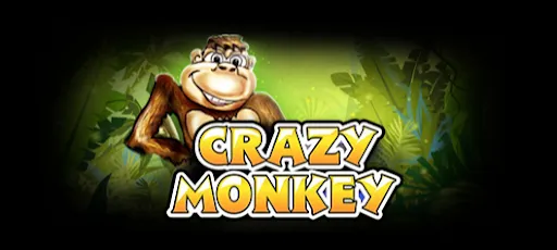 Crazy monkey
